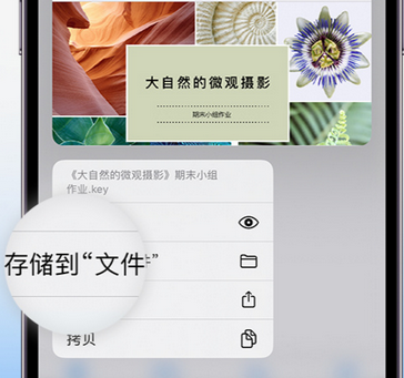 云南apple维修中心分享iPhone文件应用中存储和找到下载文件