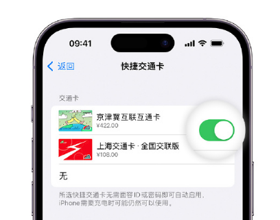 云南apple维修点分享iPhone上更换Apple Pay快捷交通卡手绘卡面 