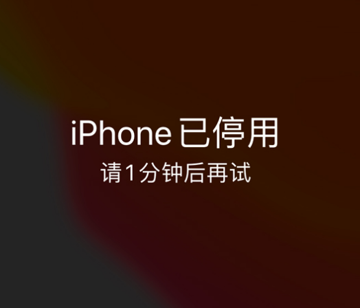 云南苹果手机维修分享:iPhone 显示“不可用”或“已停用”怎么办？还能保留数据吗？ 