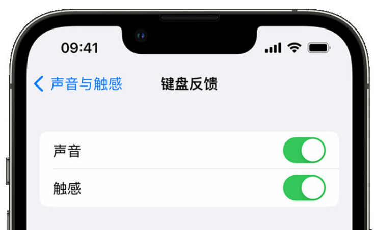 云南苹果手机维修分享iPhone 14触感键盘使用方法 