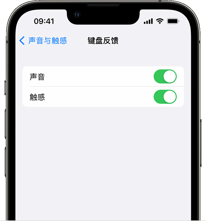 云南苹果14维修店分享如何在 iPhone 14 机型中使用触感键盘 