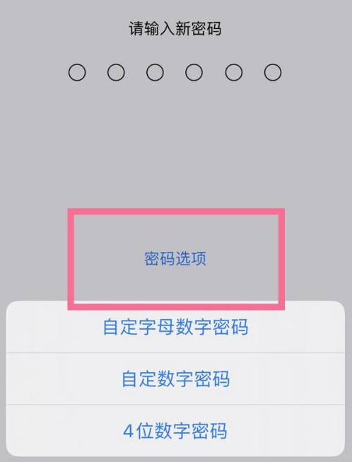 云南苹果14维修分享iPhone 14plus设置密码的方法 