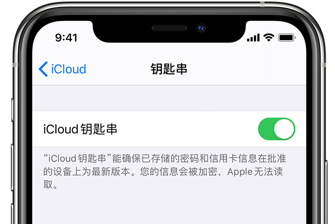 云南苹果手机维修分享在 iPhone 上开启 iCloud 钥匙串之后会储存哪些信息 