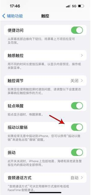 云南苹果手机维修分享iPhone手机如何设置摇一摇删除文字 