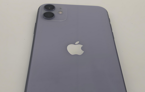 云南苹果11系统维修分享iPhone11手机系统崩溃无法开机如何解决 
